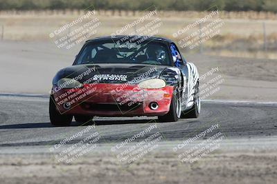 media/Oct-21-2023-Speed Ventures (Sat) [[ddf75163c5]]/Green/Grapvine/